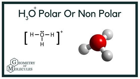 What is H3O plus?