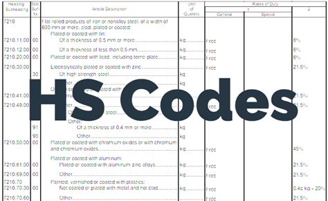 What is HS code import customs?