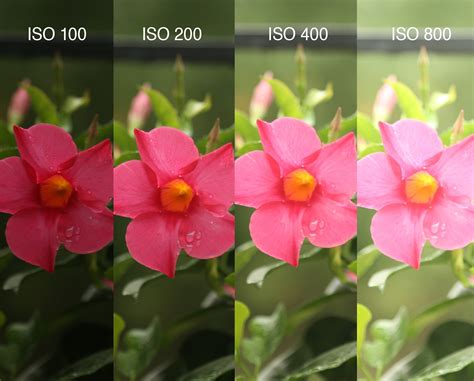 What is ISO camera?