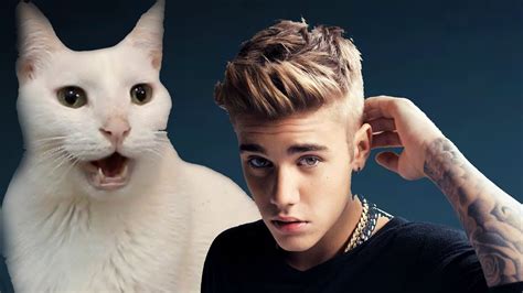 What is Justin Bieber cat?
