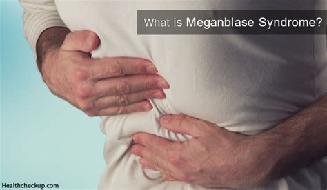 What is Meganblase?
