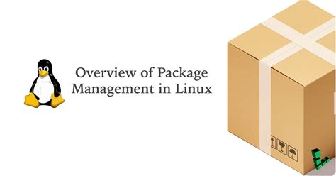 What is PKG in Linux?