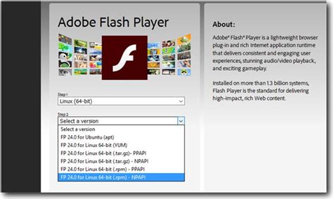 What is Ppapi Flash Player?