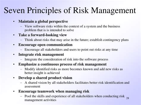 What is Principle 7 risk management?