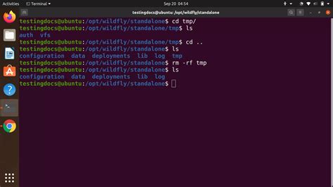 What is R in Linux command?