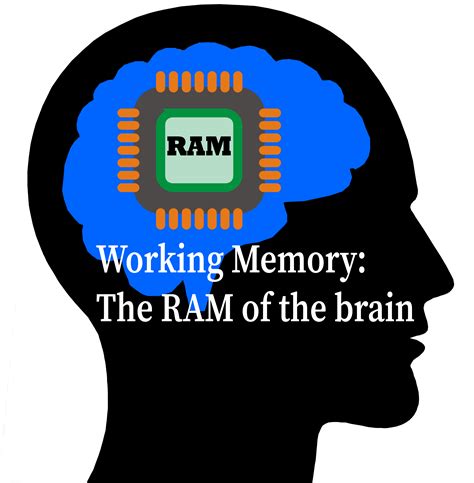 What is RAM in the brain?