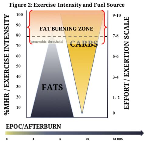 What is Stage 1 fat burning?