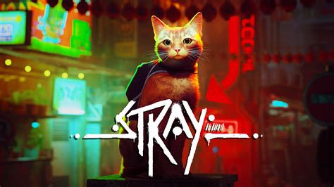 What is Stray gameplay like?