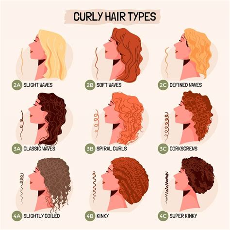 What is Type 1 curly hair?