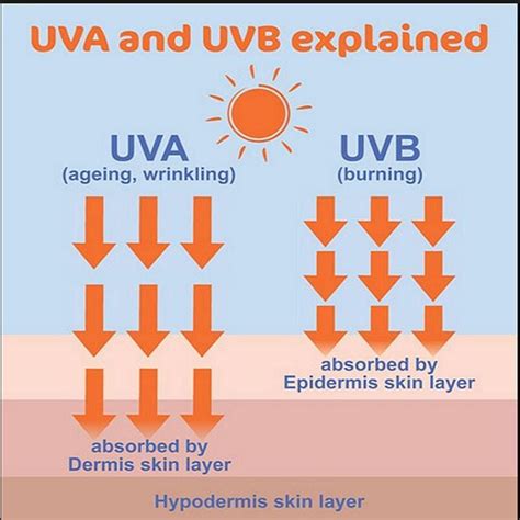What is UVA and UVB?