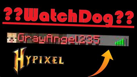 What is Watchdog Hypixel?