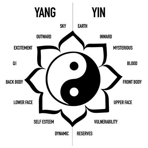 What is Yang energy in the body?