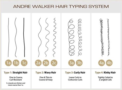 What is Z type hair?