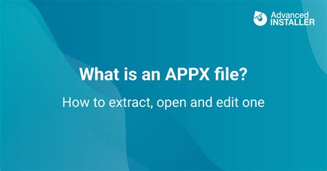 What is a .APPX file?