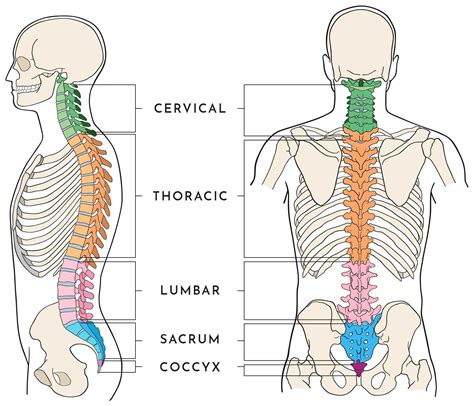 What is a 250 spine for?