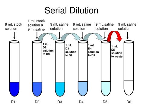 What is a 3% dilution?