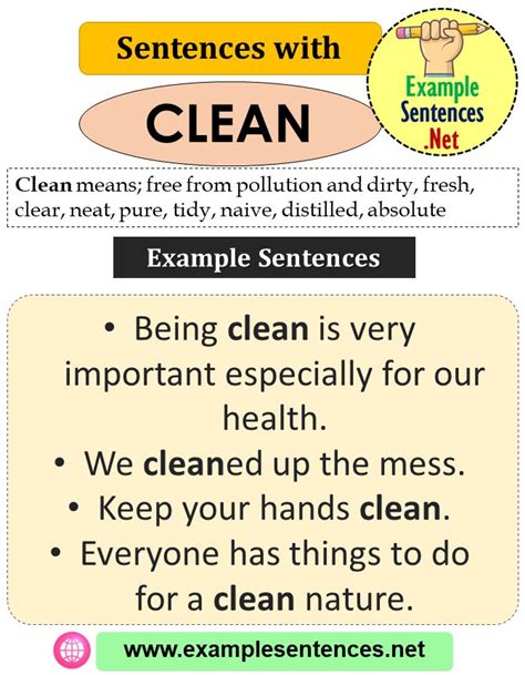 What is a 5 sentence about cleanliness?