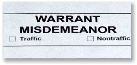 What is a 93-day misdemeanor in Michigan?