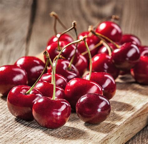 What is a Bordeaux cherry?