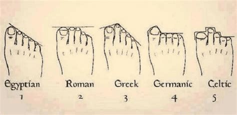 What is a Celtic foot shape?