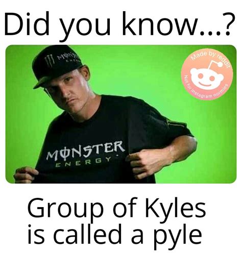 What is a Kyle slang?