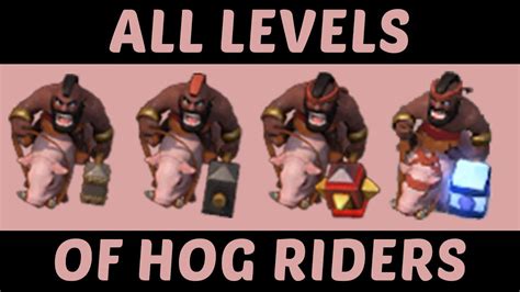 What is a Level 1 rider?