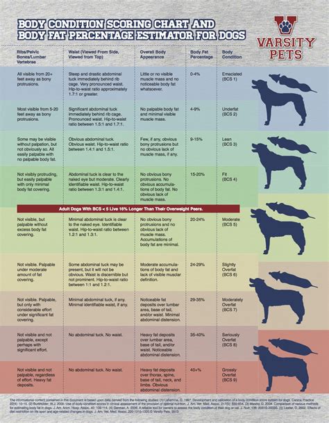 What is a Level 4 dog?