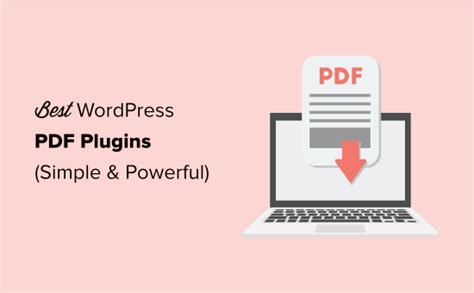 What is a PDF plugin?