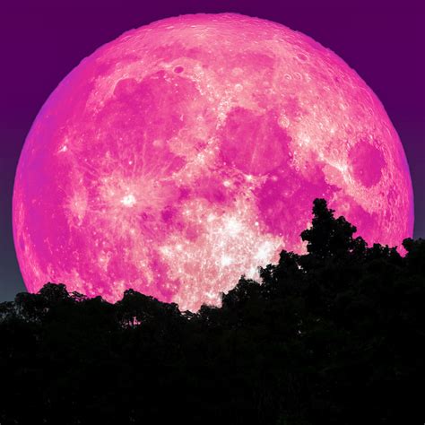 What is a Pinkmoon?
