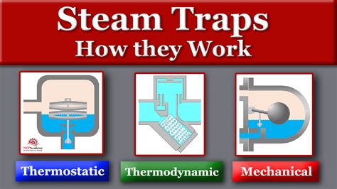 What is a STEM rap?