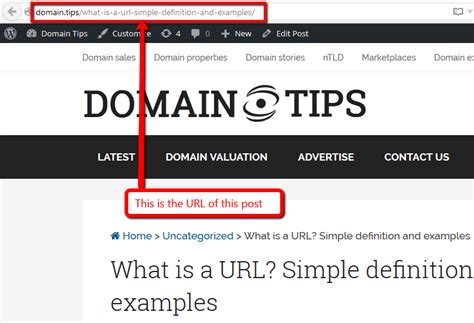 What is a URL example?