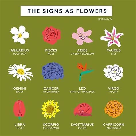 What is a Virgos favorite flower?