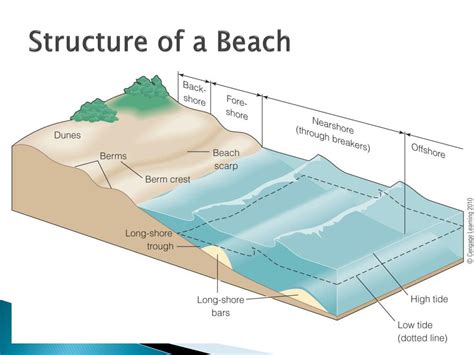 What is a beach structure?