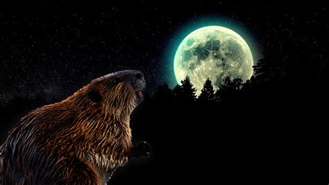 What is a beaver moon?