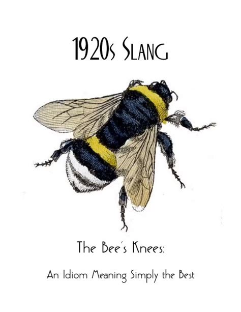 What is a bee in slang?
