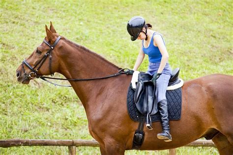 What is a beginner in horse riding?