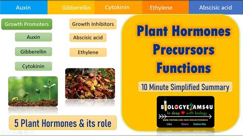What is a bioassay of all plant hormones?
