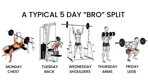 What is a bro split?