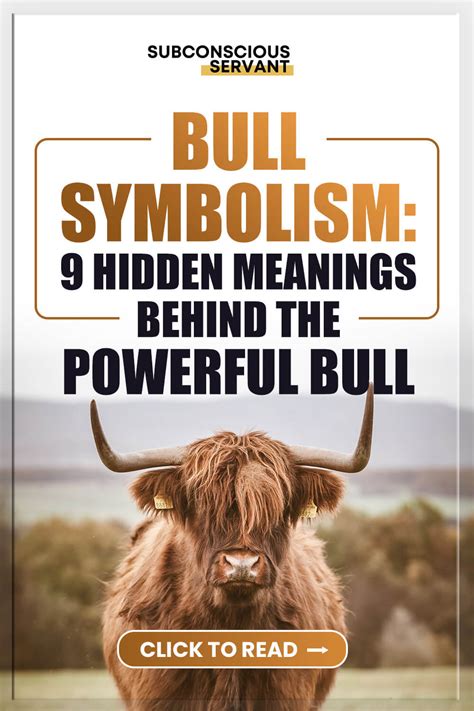 What is a bull in a relationship?