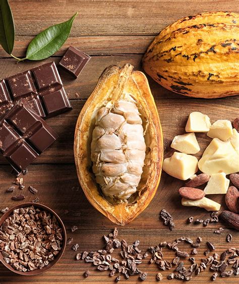 What is a cacao high like?