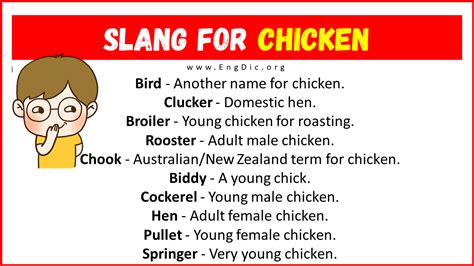 What is a chicken slang?