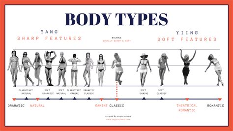 What is a classic body type?