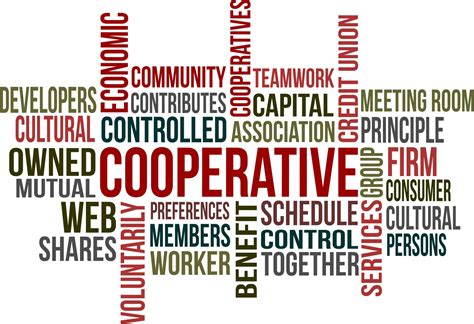 What is a co-op in America?