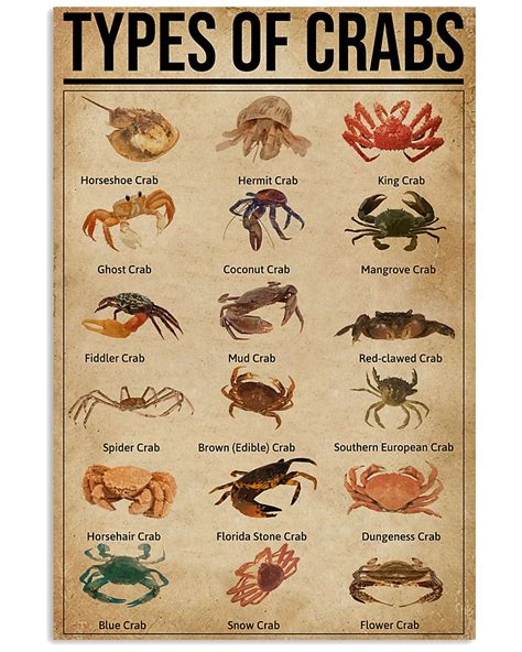 What is a crab in slang?