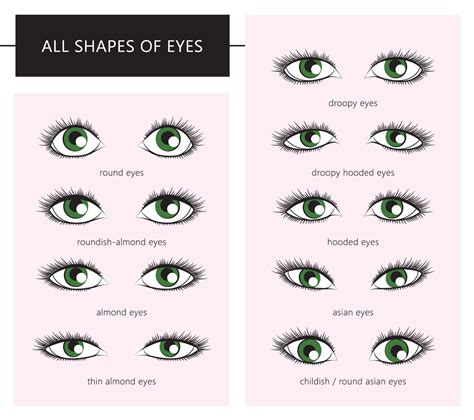 What is a cute eye shape?