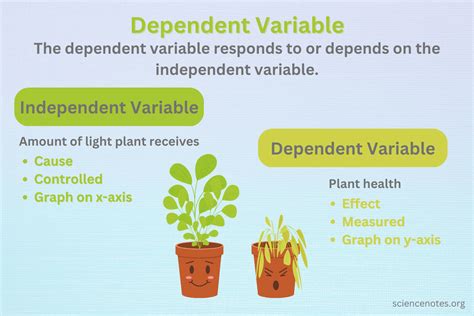 What is a dependent variable example?