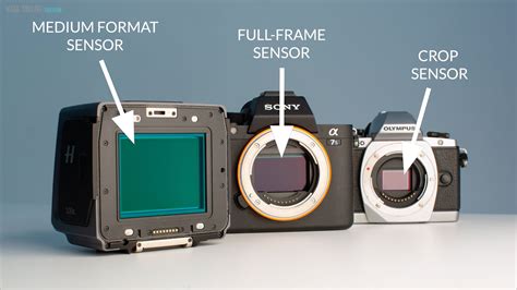 What is a disadvantage of a full frame sensor camera?