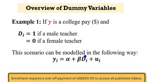 What is a dummy example?