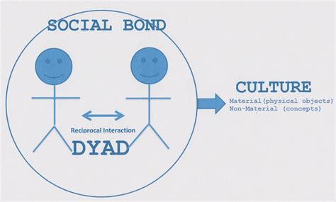 What is a dyad poly?