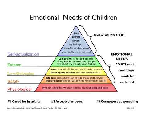 What is a emotional need?